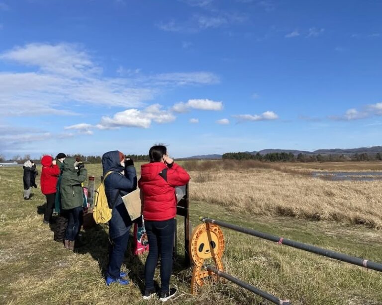 ギャラリー写真