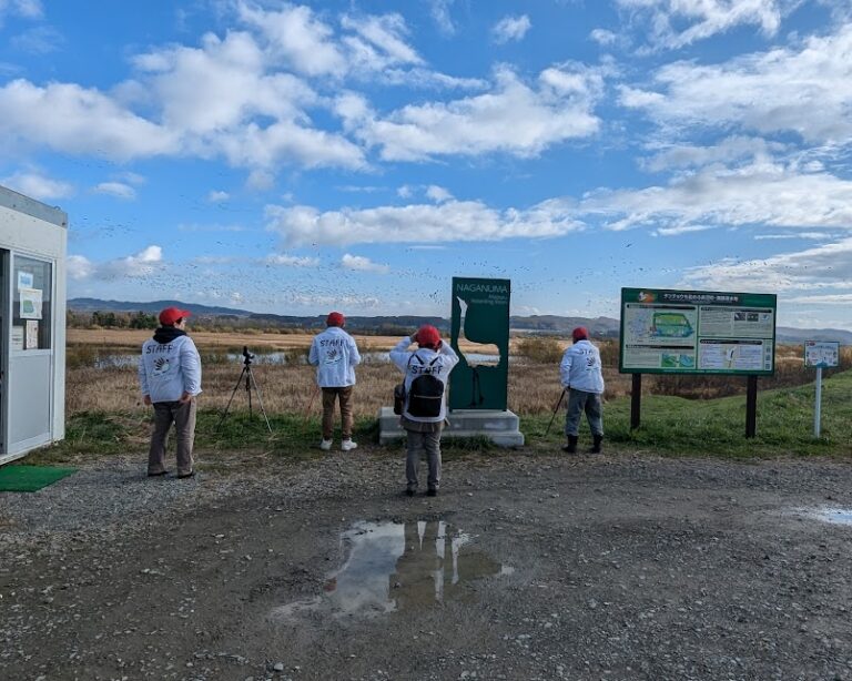 ギャラリー写真