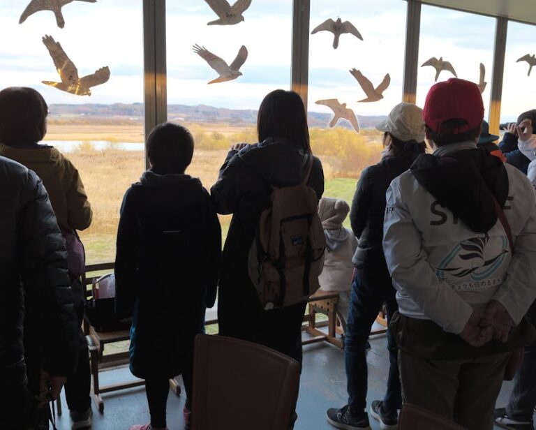 ギャラリー写真